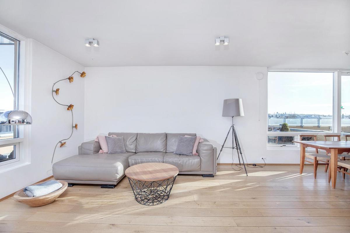 Penthouse Apartment With Panasonic Mountain View Рейкьявик Экстерьер фото